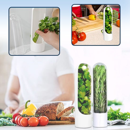 EverGreen™ - Conteneur pour herbes aromatiques - Fanumano Accessoires de Cuisine